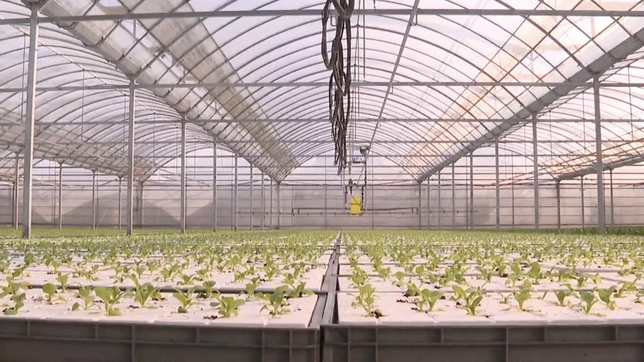 MySQL 考试练习题 - MrFlySand-飞沙 - 博客园 MySQL 考试练习题 - MrFlySand-飞沙 - 博客园