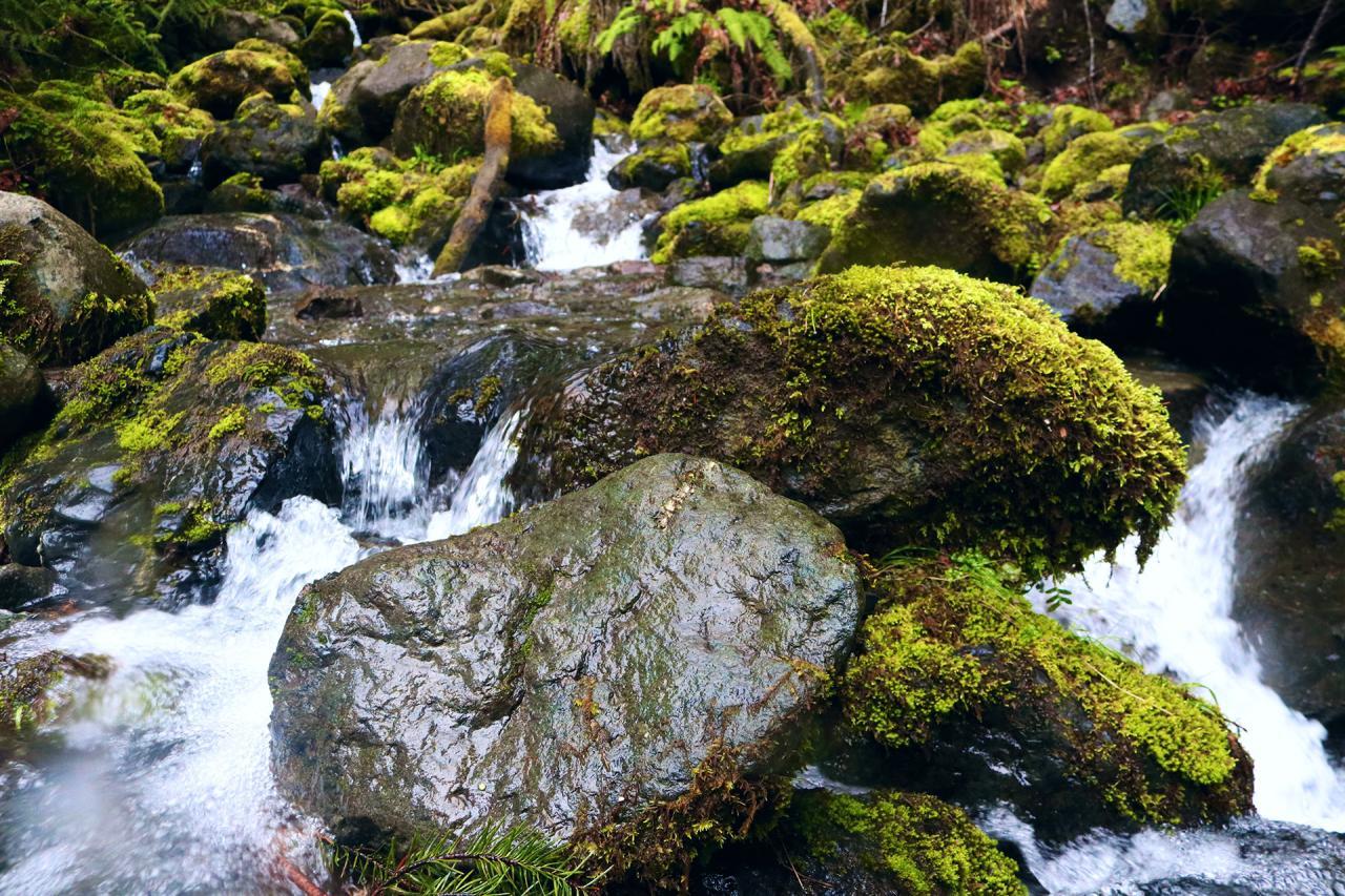 Off the Beaten Path 2 on Behance Off the Beaten Path 2 on Behance