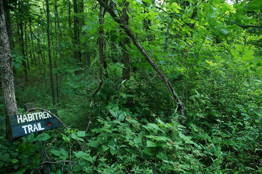 Everyday Gyaan Off The Beaten Path Everyday Gyaan Off The Beaten Path